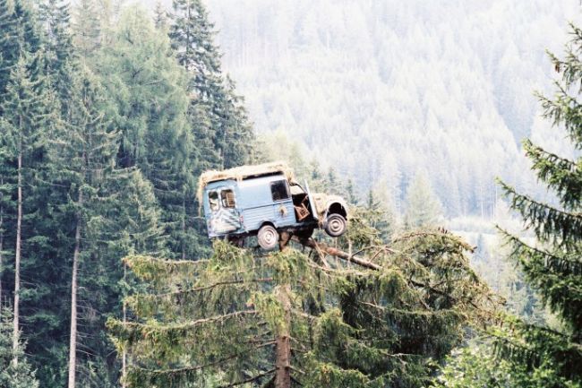 Der Sommer des Falken 2